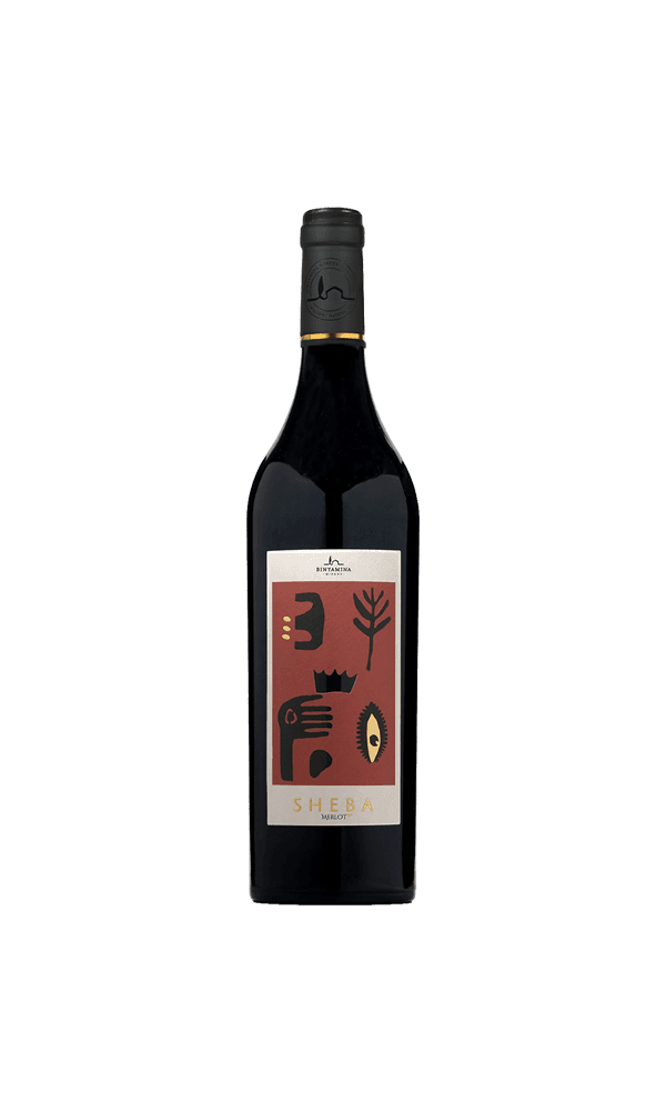 יין סדרת שבא