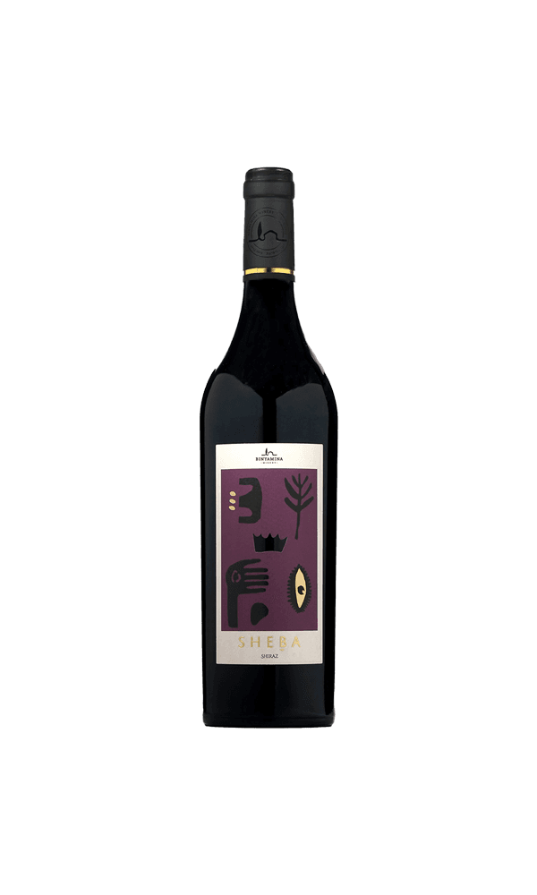 יין סדרת שבא