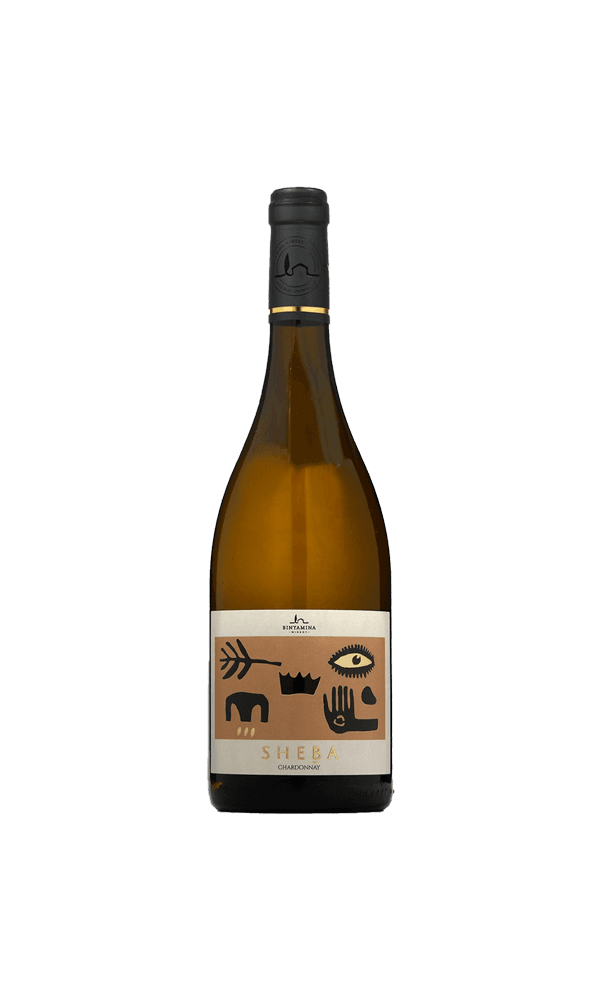 יין סדרת שבא