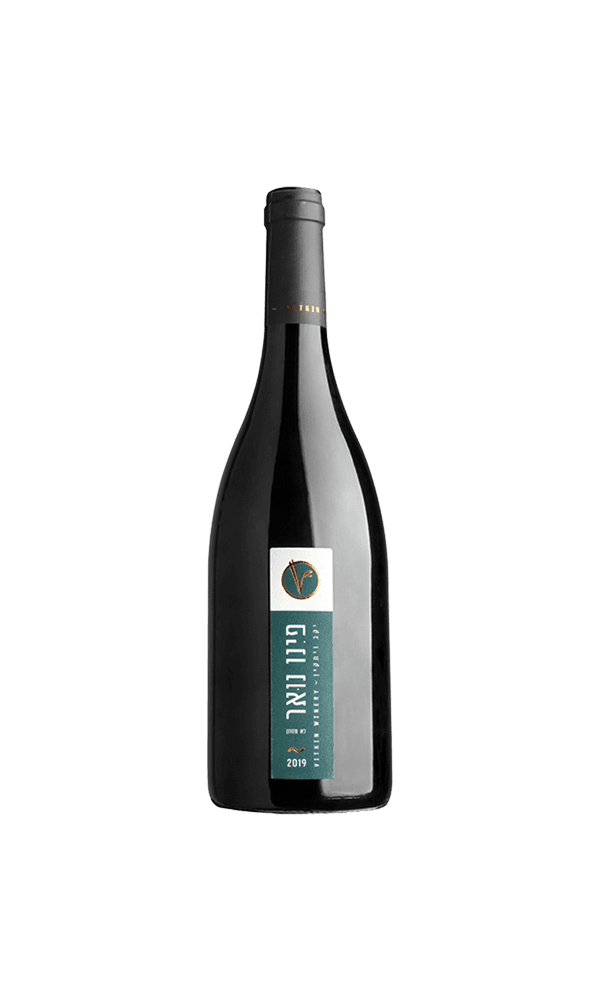 יין ויתקין פינו נואר | בנא משקאות