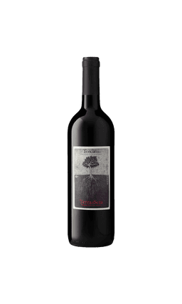 יין טרה די סטה טוסקנה | בנא משקאות