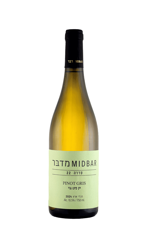 יין מדבר פינו גרי סד