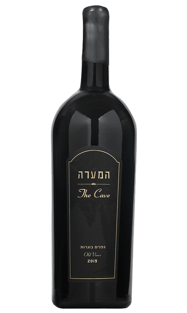 המבורגר וציפס