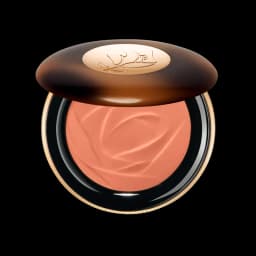 טיינט איידול ברונזר 04