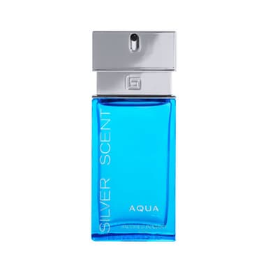 טסטר סילבר סנט אקווה אדפ לגבר 100 מ"ל בוגארט - Bogart Silver Scent Aqua for Men 100ml EDP TESTER