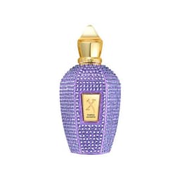 טסטר - פרפל אסנטו אדפ יוניסקס 100 מ"ל - קסרג'וף Tester - Xerjoff - Purple Accento EDP Unisex 100ML