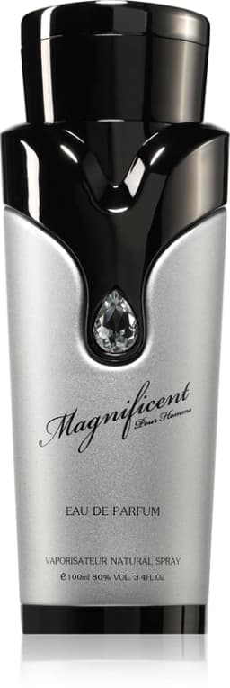 ארמאף מגניפיסנט לגבר 100 מל אדפ - Armaf Magnificent for Men 100ml EDP