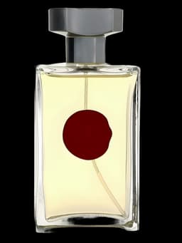 פרד היימן טאץ לגבר 100 מל אדט - Fred Hayman Touch for Men 100ml EDT