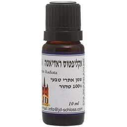 שאריות גבינה מעדניה