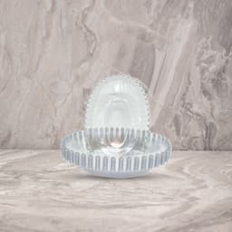 אובלי PEARL פרל שקוף-כסף (10 יח')