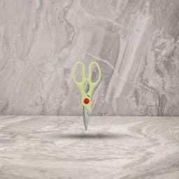 מספריים לעוף