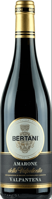 ברטני אמרונה ואלפנטנה