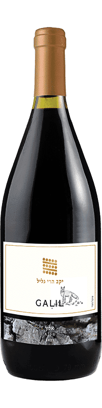 גליל אלון מגנום