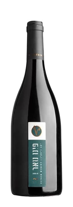 ויתקין פינו נואר