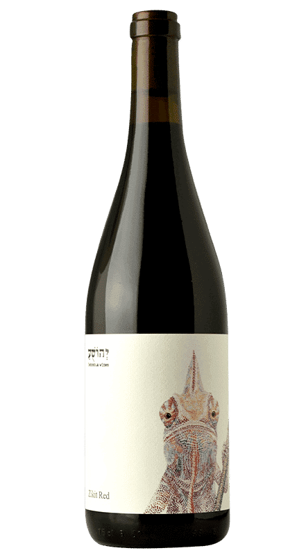 יהושע זיקית אדום