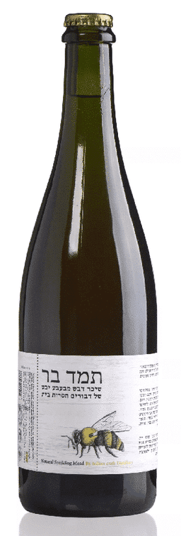 יוליוס תמד בר מבעבע