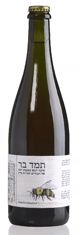 יוליוס תמד בר מבעבע