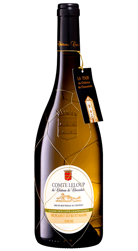 מוסקדה שאסלואר קומט ללופ