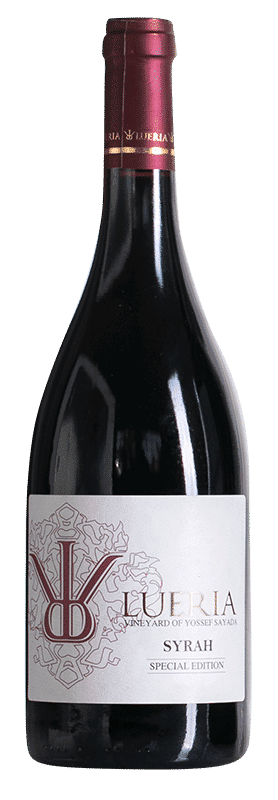 לוריא ספיישל אדישין סירה