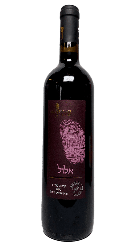 סוסון ים אלול 2015