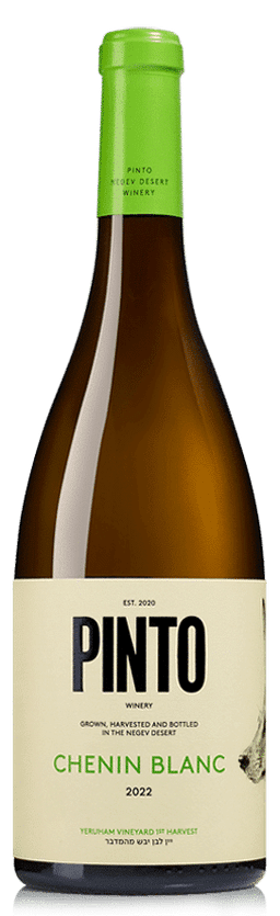 פינטו שנין בלאן