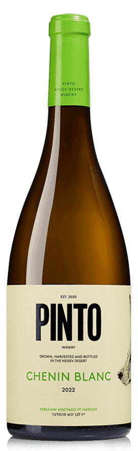 פינטו שנין בלאן