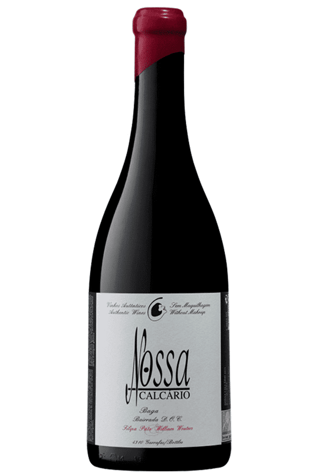 פאטו וינוס נוסה קאלקריו באגה ביירדה מגנום