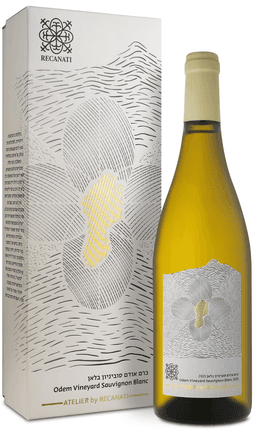 רקנאטי ס.ב אודם