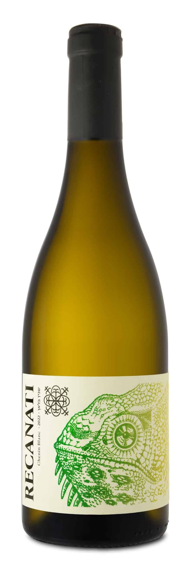 רקנאטי שנין בלאן