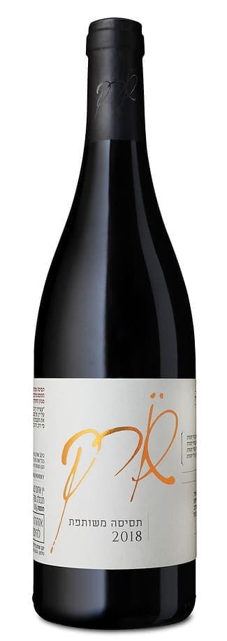 שורק תסיסה משותפת