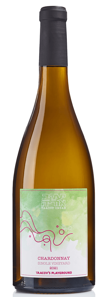 יעקב אוריה שרדונה פליי גראונד