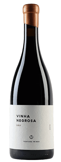 טסטורה וינה נגרוסה דאו אדום