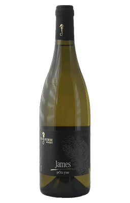 סוסון ים שנין ג'ימס 2016