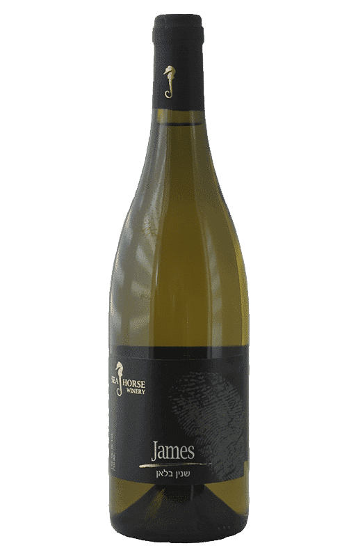 סוסון ים שנין ג'ימס 2016