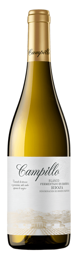 בודגס קמפיו לבן