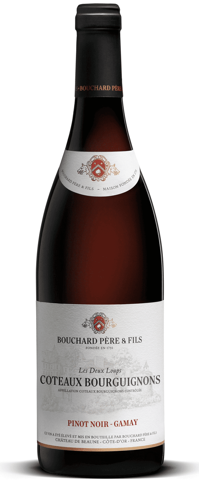 בושארד קוט בורגיניון אדום