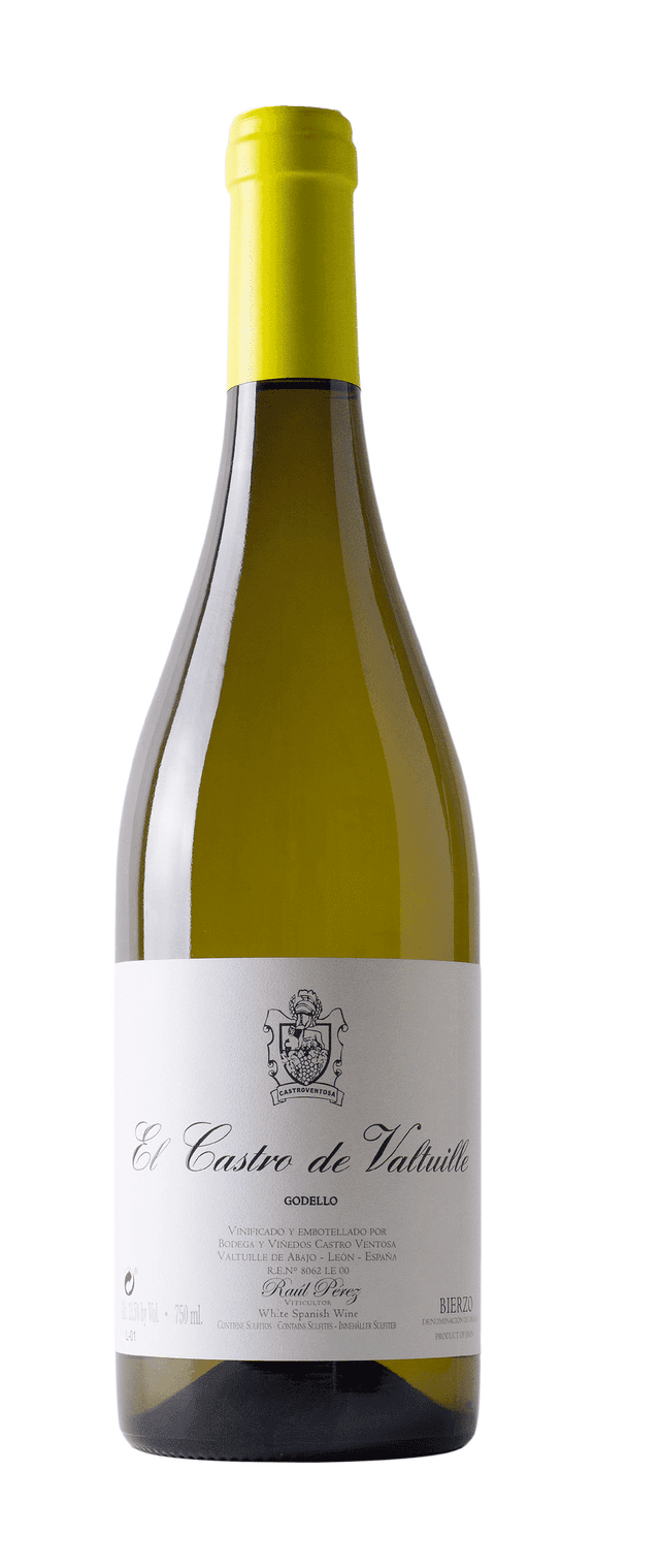 ראול פרז ואלטואיל גודלו