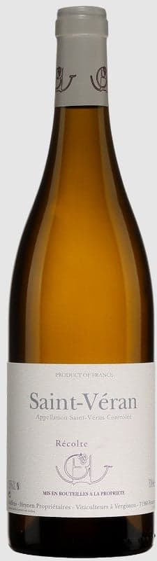 גופן היינאן,סנט וראן