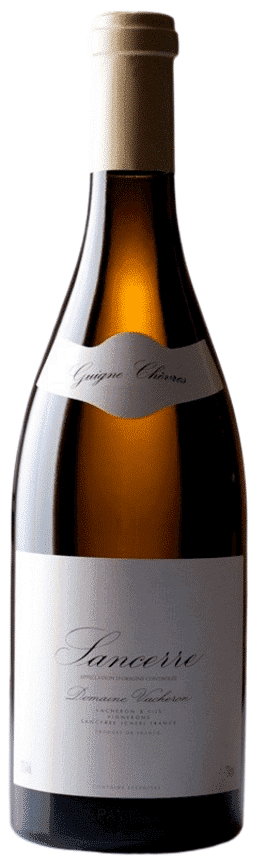 ושרון סנסר גין שאב