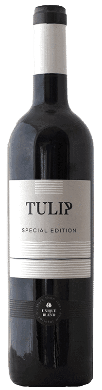 טוליפ ספיישל אדישן אדום