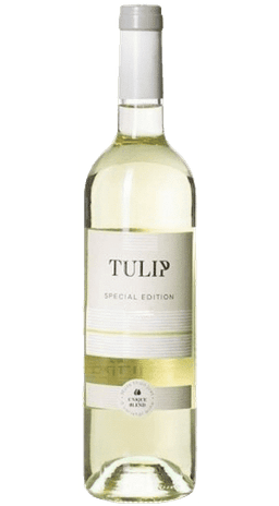 טוליפ ספיישל אדישן לבן