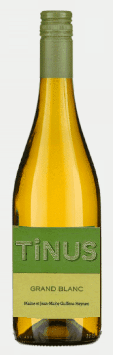 דומיין ורז'ה, טינוס גראן בלאן