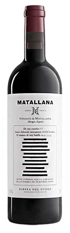 טלמו רודריגז מטאלנה