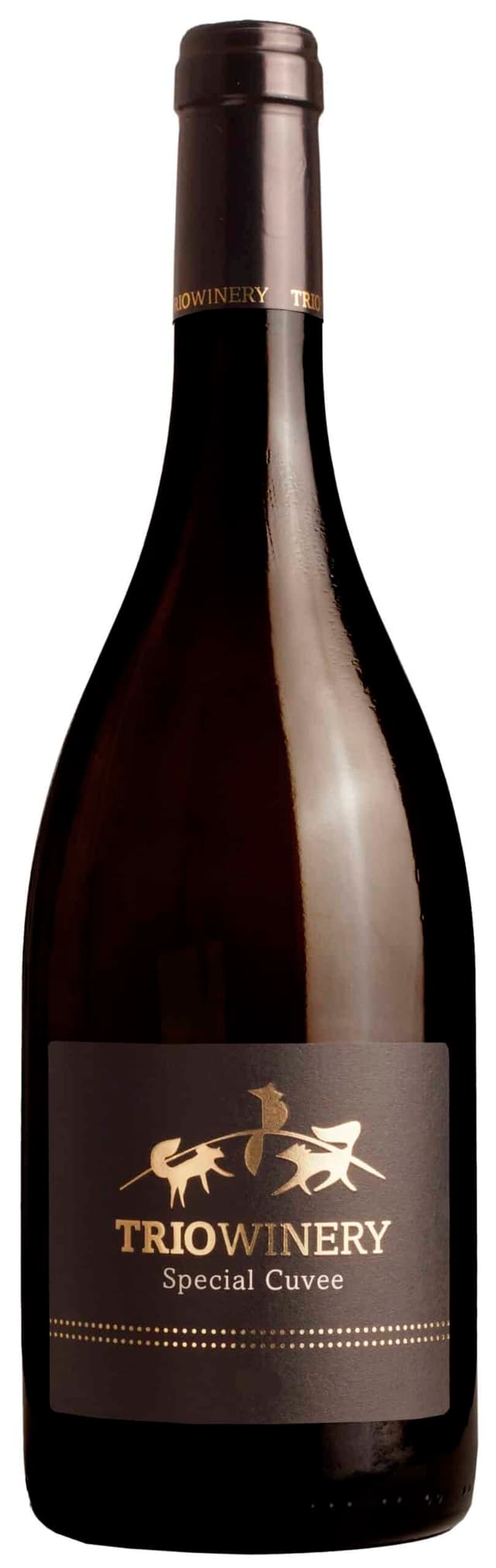 טריו ספיישל קווה 2011