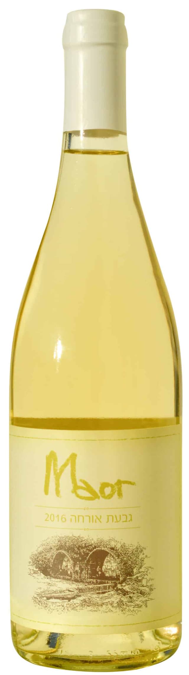 מאור אורחה לבן