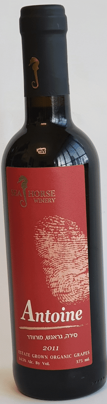 סוסון ים אנטואן 375