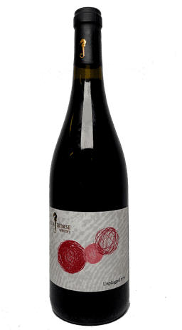 סוסון ים אנפלגד אדום