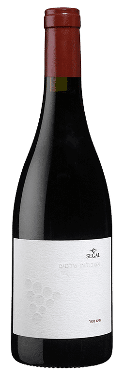 סגל פינו נואר אשכולות שלמים