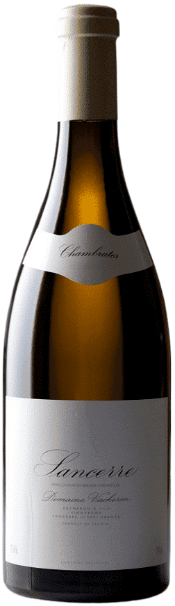 ושרון סנסר שאמברה