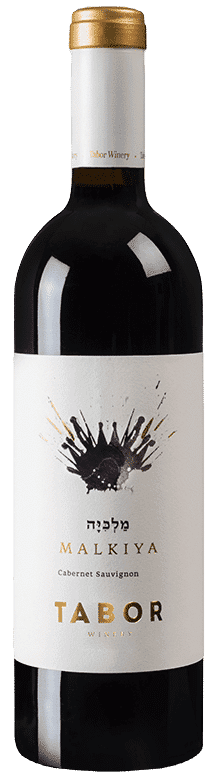 תבור מלכיה 2013